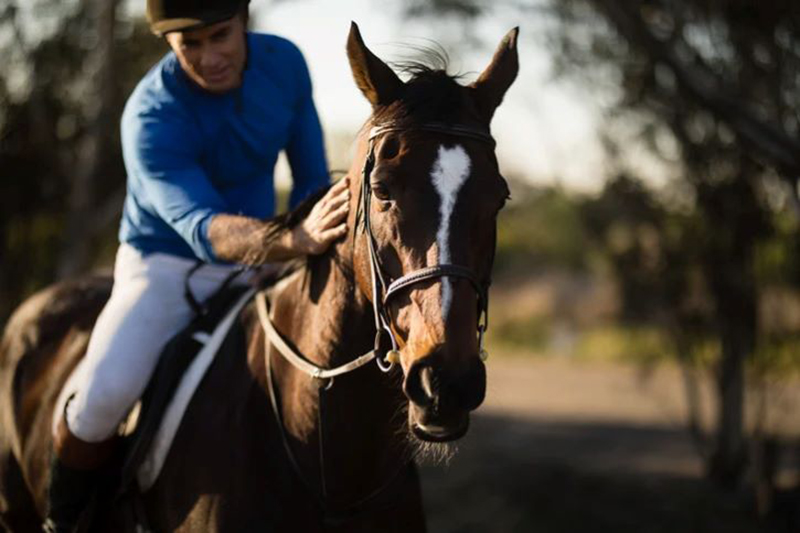 man riding a horse, featured image for the article 