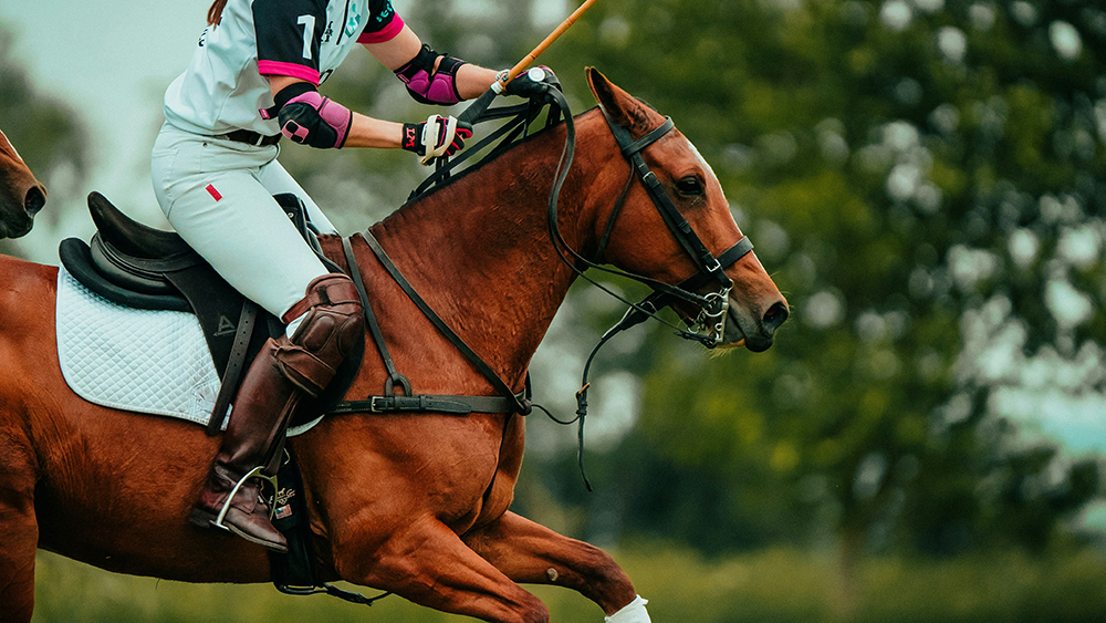 a closup image of a polo player and horse, featured image for the article