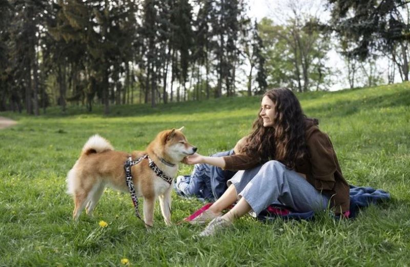 woman playing with her pet dog outdoors, featured image for the article