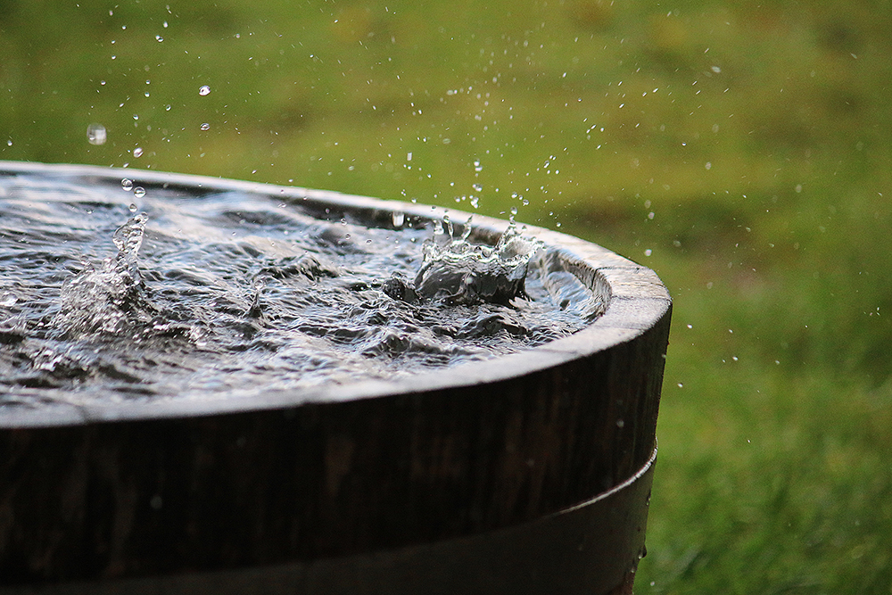 a closeup image of a barrel catching the rain drops, featured image for the article