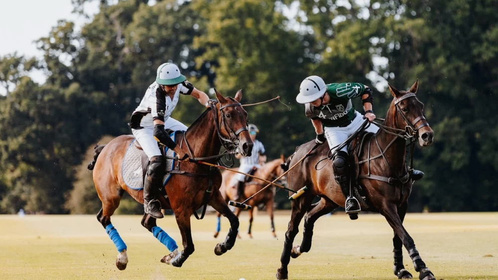 polo match in Sotogrande, featured image for the article 