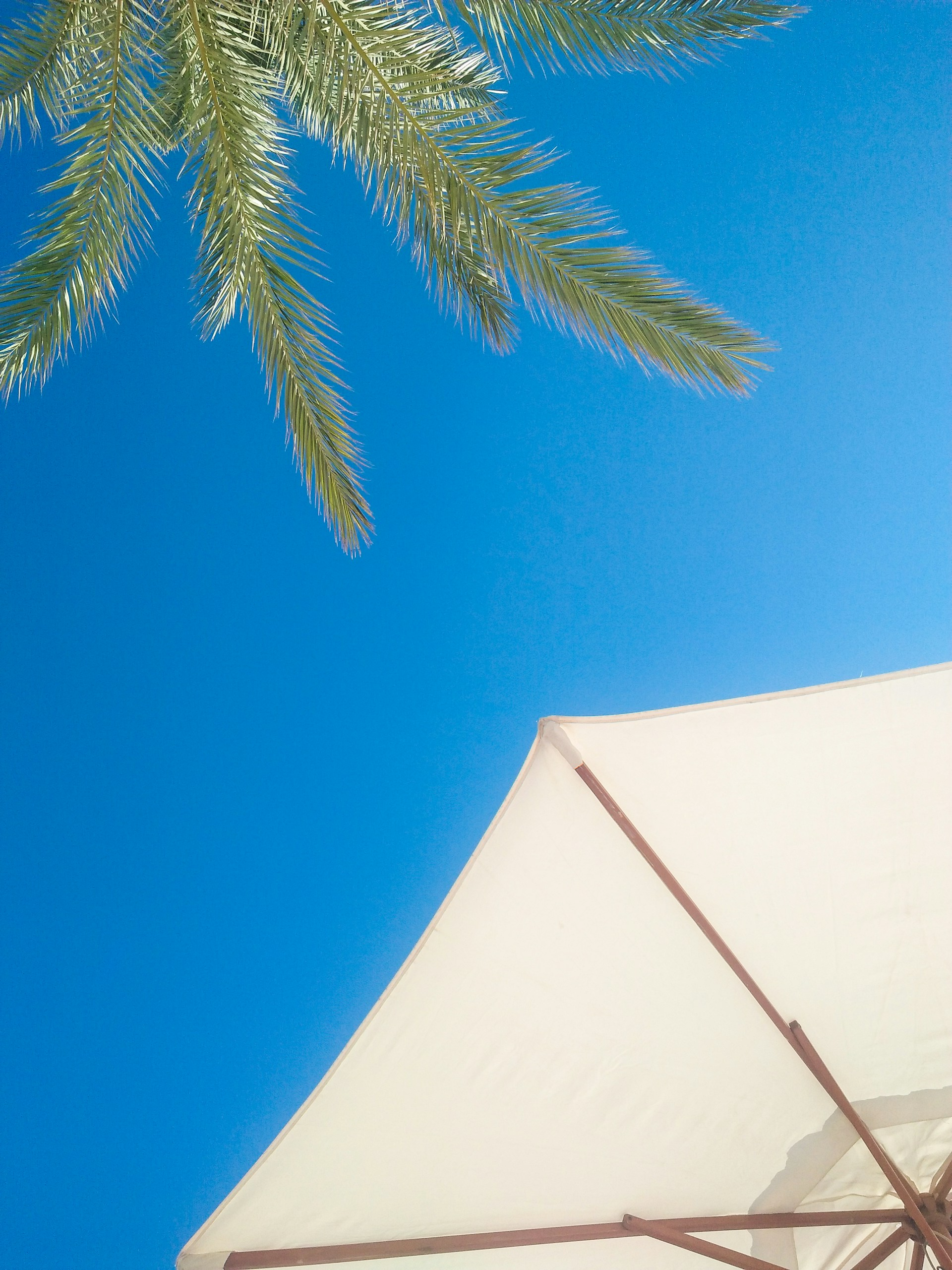 beach regeneration project